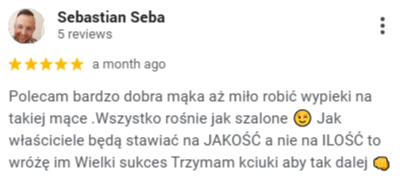 FireShot Capture 662 - Jaroszewicz i Synowie - Młyn Łęczyca Reviews - Google Search_ - [www.google.com]